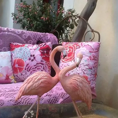 La Maison De La Viguerie Bed & Breakfast Aigues-Mortes