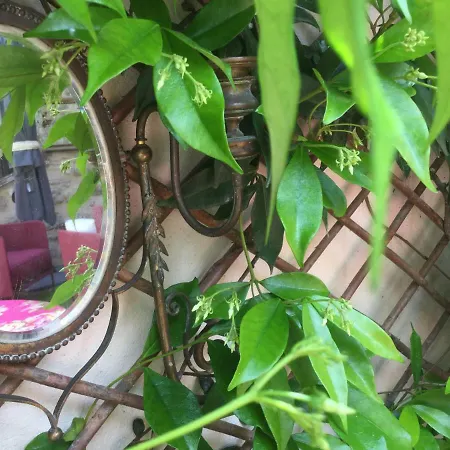 La Maison De La Viguerie Bed & Breakfast Aigues-Mortes