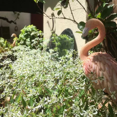 La Maison De La Viguerie Bed & Breakfast Aigues-Mortes